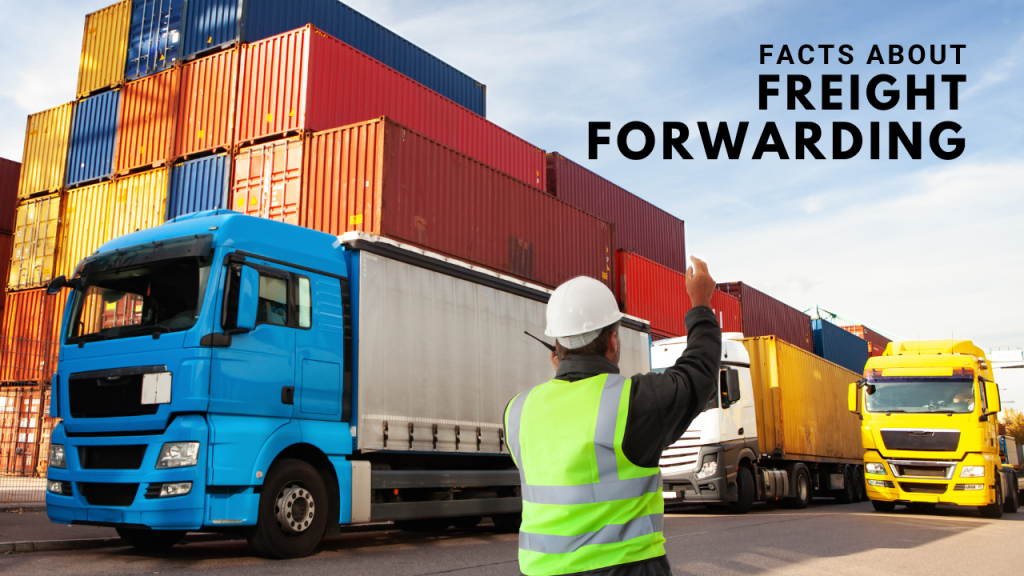 5 Crucial Facts About Freight Forwarding - DTDC Australia