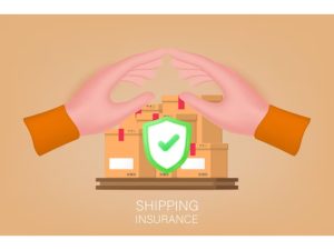 Risk Management and Delivery Protection - E-commerce Shipping